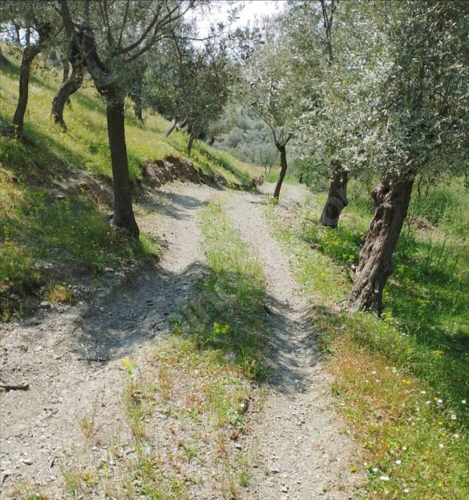 Yamaçta yol
